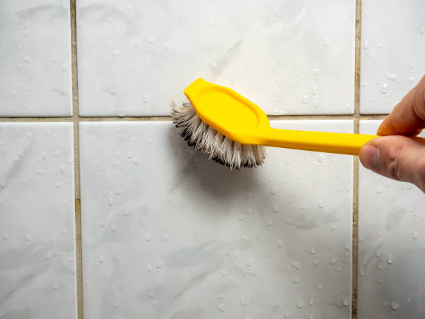 Best Fast Mold Removal  in Pleasureville, PA