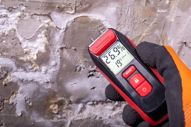 Best Mold Inspection  in Pleasureville, PA