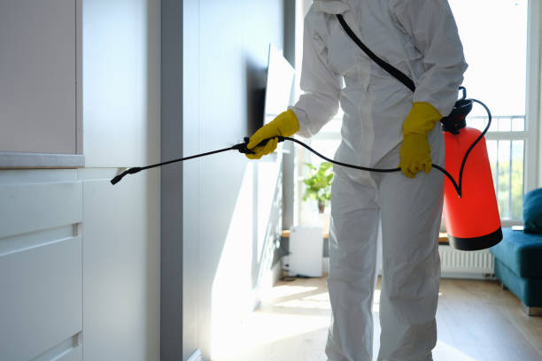 Best Same-Day Mold Removal  in Pleasureville, PA
