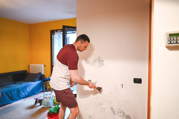 Best Professional Mold Removal  in Pleasureville, PA